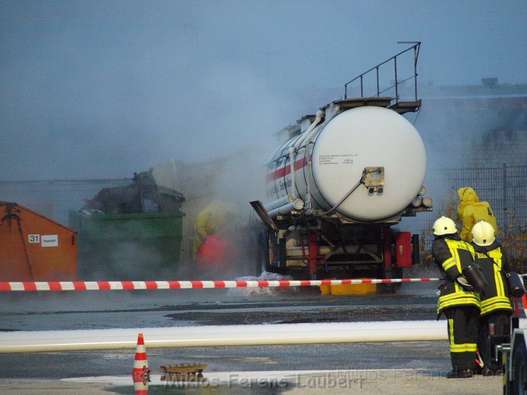 Saureaustritt Koeln Loevenich Daimlerstr P293.JPG